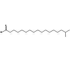 異硬脂酸結構式_2724-58-5結構式